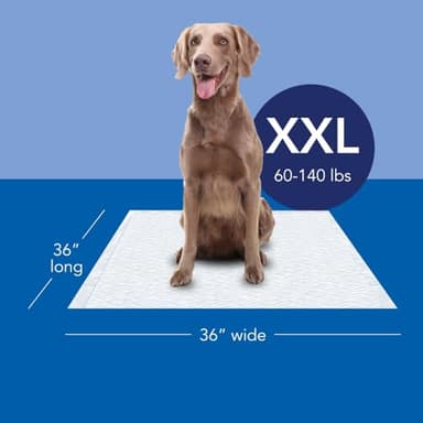 Scott Pet Guard Dog Pads - Size XXL - 36" x 36" - 40 Pack - Image 2