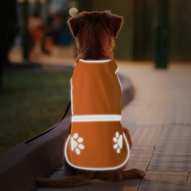 Candofly Reflective Dog Vest, High Visibility Safety Pet Hunting Jacket for Night Walking Camping (Orange, Medium) - Image 1