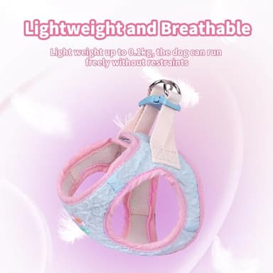 AIITLE Breathable Dog Vest Harness and Leash Set - Step in Adjustable Dog Harness with Magic Tape Design and Quick-Release Buckle - Outdoor Walking, Training for Medium Dogs Blue L - Image 3
