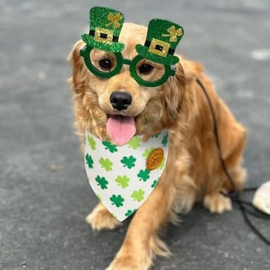 CROWNED BEAUTY St Patricks Day Dog Bandanas Reversible Small 2 Pack, Irish Clover Set, Green Plaid Adjustable Triangle Holiday Scarves for Dogs Cats Boy Girl Pets DB160-S - Image 2