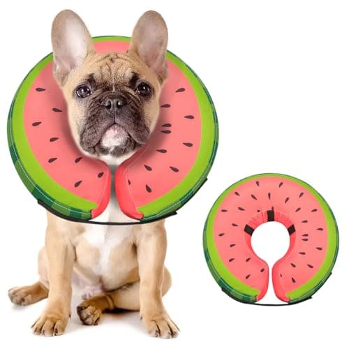 MIDOG Soft Inflatable Dog Cone, Donut E-Collar Alternative for After Surgery, Prevents Licking, Allowing Normal Eating & Vision, Comfortable Recovery Collar for Small Medium Large Dogs & Cats, Red-M - Image 1