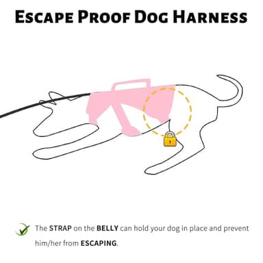 Paworld No Escape Dog Harness, Escape Proof Harness, Fully Reflective Harness with Padded Handle, Breathable,Durable, Adjustable Vest for Medium Dogs Walking, Training, and Running Gear (Black, M) - Image 2