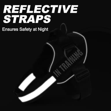 JUSTYEZI Essential Dog Harness with 3 Leash Clips - No-Pull, Adjustable, Comfortable Pet Vest Harness for Small to Large Dogs - Easy On, No Choke, Reflective, Padded Harness for Walking and Training - Image 7