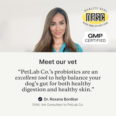 PetLab Co. Probiotics for Dogs, Support Gut Health, Occasional Diarrhea, Digestive Health & Seasonal Allergies - Salmon Flavor - Packaging May Vary - 30 Soft Chews - Image 3