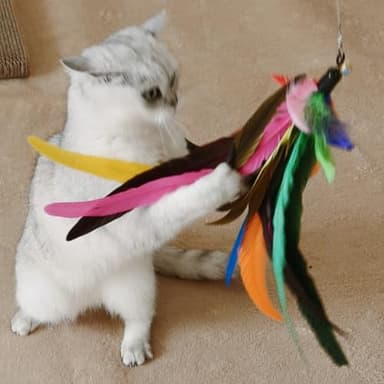 miwoowim Cat Toys Interactive for Indoor Cats, 2PCS Ultra-Long Teaser(50"+38")+9PCS Da Bird Feather Refills, Fishing Pole Toy,Retractable Cat Wand Toy and Feather Toys Refills Attachment Replacement - Image 4