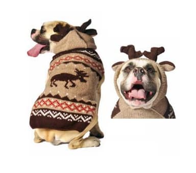 Chilly Dog Moosey Hoodie (XX-Small) - Image 3