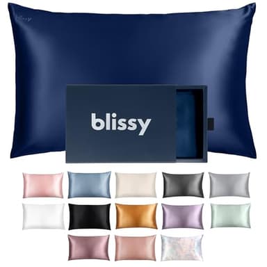 Blissy Silk Pillowcase - 100% Pure Mulberry Silk - 22 Momme 6A High-Grade Fibers - Silk Pillow Cover for Hair & Skin - Regular, Queen & King with Hidden Zipper (Standard, Blue) - Image 1