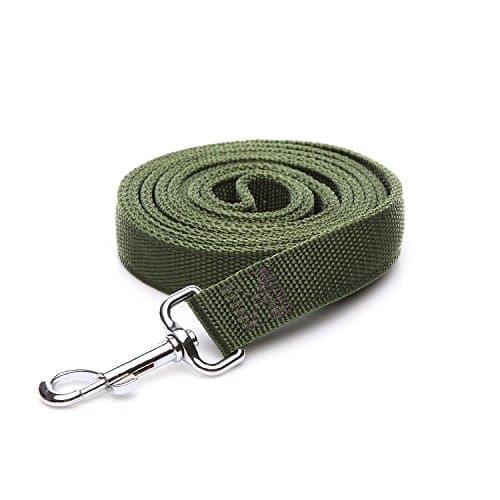 Strong Nylon Dog Leash with 2-Layer, 4 FT/ 6 Feet Long, 1 Inch Wide for Medium Large Dogs (1'' x 5 FT, Green) - Image 1