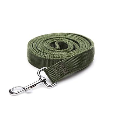 Strong Nylon Dog Leash with 2-Layer, 4 FT/ 6 Feet Long, 1 Inch Wide for Medium Large Dogs (1'' x 5 FT, Green) - Image 1
