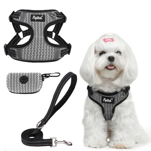 PUPTECK Dog Harness and Leash Set Small Sized, Step in No Pull Adjustable Puppy Cat Harness Reflective Pet Vest - Image 1