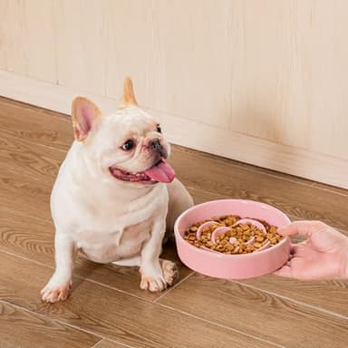 vancasso Slow Feeder Dog Bowl, 0.6 Cups Ceramic Dog Food Dish for Fast Eaters Small Breed, Puzzle Bowl for Small Dogs and Cats, Pink - Image 9