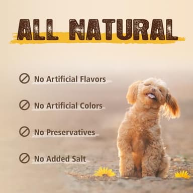 Gootoe Soft Chicken Dental Chews with Chlorophyll 1.5 lb, All Natural, Grain-Free, High-Protein, Healthy & Easily Digestible, Soft Texture, Resealable - Image 4