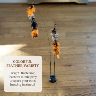 Cat Wand Toy With Suction Cups Interactive Feather Teaser Wand With Worms & Catnip Lizard Snake Chew Toys Cat Toys For Indoor Cats & Kittens Enrichment Toy For Bored Cats With 6 Colorful Attachments - Image 7