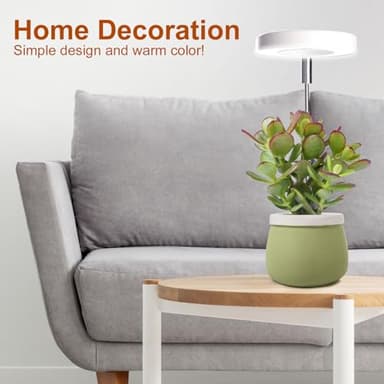 Grow Lights for Indoor Plants Small Potted - Full Spectrum, Auto 3/9/12H Timer, 10-Level Dimming & Adjustable Height - Compact Grow Light for Succulents, Herbs, Foliage in Home/Office (White,1PACK) - Image 7