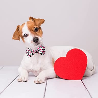 2 Pack Valentine Kitty Kitten Collar with Bow Tie, Holiday Heart Collar with Bell for Boys and Girls Male Female Cats (Pattern 1) - Image 7