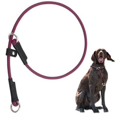 Red Dog Collar - 26'' Adjustable Waterproof PVC Slip Collar for Dog Show & Training - Image 1