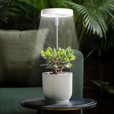 Grow Lights for Indoor Plants Small Potted - Full Spectrum, Auto 3/9/12H Timer, 10-Level Dimming & Adjustable Height - Compact Grow Light for Succulents, Herbs, Foliage in Home/Office (White,1PACK) - Image 2