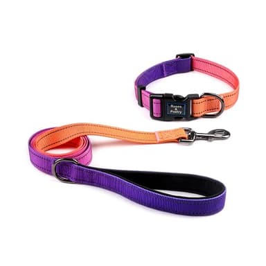 Roses&Poetry Reflective Small Dog Collar and Leash Set, Puppy Personalized Boy and Girl Collar with Leash, Adjustable Nylon Durable Pet Matching Collars Leashes for Small Puppies(Mistyrose-S - Image 1