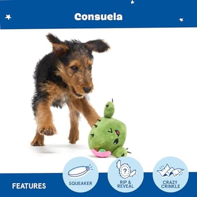 Barkbox 2 in 1 Interactive Plush Dog Toy - Rip and Reveal Toy for Dogs and Puppies - Stimulating Squeaky Pet Toys | Consuela Cactus (Small) - Image 4