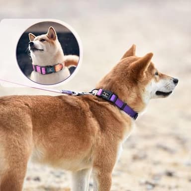 Roses&Poetry Reflective Small Dog Collar and Leash Set, Puppy Personalized Boy and Girl Collar with Leash, Adjustable Nylon Durable Pet Matching Collars Leashes for Small Puppies(Mistyrose-S - Image 5