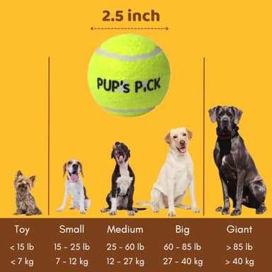 Pup's Pick Squeaky Tennis Balls - 2.5" Fun Dog Balls for Fetch, 12-Pack in Bright Colors (Yellow, Blue, Pink, Orange), Includes 1 Reusable Carry Bag - Image 6