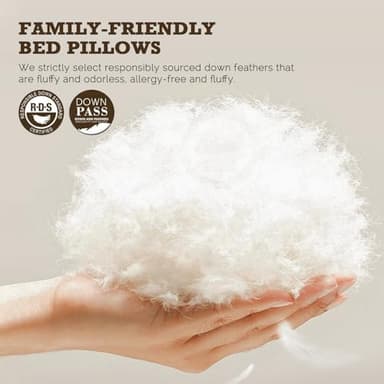 BPC Goose Feather Down Pillows Queen Size, with 100% Organic Cotton Cover - Luxury 3-Chamber Design for Medium Firm Support & Cloud-Like Comfort, Set of 2 Bed Pillows for Sleeping, 20x30 Inches - Image 3