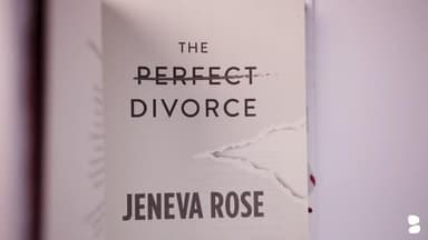 The Perfect Divorce - Image 5