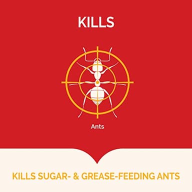 Hot Shot Ant Bait, Kills the Queen and Colony, Works for 6 months, Pack of 1, 8 Count - Image 2