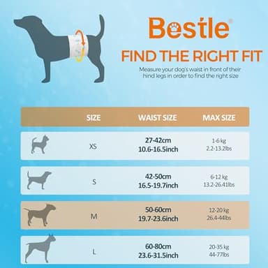 Bestle Male Dog Wrap, Disposable Dog Diapers, 40 Count, M (Waist 19.7”-23.6”), Wetness Indicator, Ultra Protection, Leak Proof, Super Absorbent, Soft - Image 2