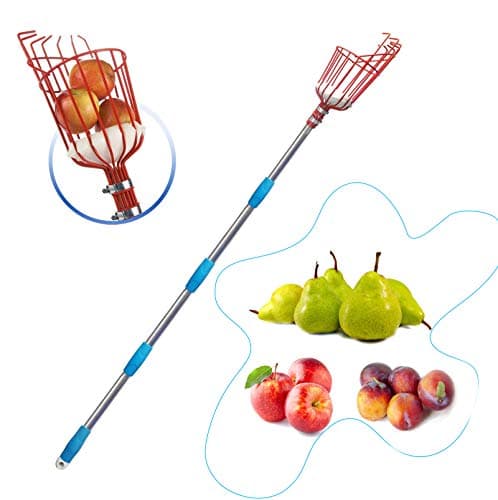 HOSKO 5.5FT Fruit Picker Tool, Lightweight High-Grade Stainless Steel Adjustable Fruit Picker with Metal Twist-on Basket, Suit for Apple Pear Cherry Mango Guava Orange Avocados Etc Fruit Picking - Image 1