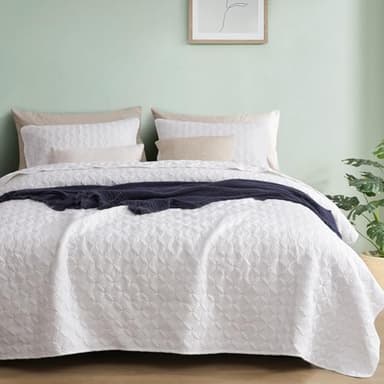 PHF Quilt Bedding Set Queen Size - Lightweight Summer Bedspread, 3PCS Soft Breathable Coin Pattern Bedding Coverlet for All Season, Drop Nicely Quilt 90" x 96"with 2 Pillow Shams, Coconut White - Image 1