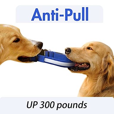 YFbrite Ultra Light Adjustable LED Dog Collar, Light up Dog Collars Rechargeable Glowing in The Dark Collars Visiblity & Safety for Small, Medium, Large Dogs (Blue, Large) - Image 4