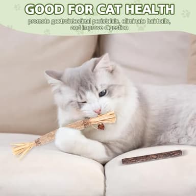 WOUSEDO 6 Pack Silvervine Sticks Cat Toy, Natural Chew Stick for Dental Care Teeth Cleaning,Matatabi Cat nip Treat Toys for Indoor Cats& Kittens - Image 4