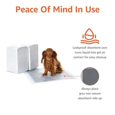 Amazon Basics Carbon Odor-Control Dog and Puppy Pee Pads, 5-Layer Leak-Proof Super Absorbent, Quick-Dry Surface, Potty Training, Regular (22x22"), 120 Count, Gray - Image 4