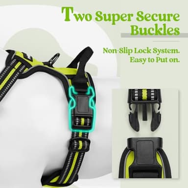 rabbitgoo Dog Harness No Pull with 2 Leash Clips, Adjustable Soft Padded, Reflective Oxford No Choke Pet Vest with Easy Control Handle for Small Dogs, Wild Lime,S - Image 3