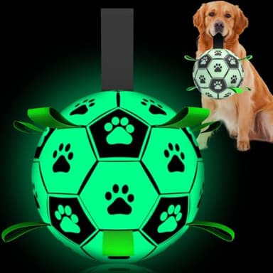 QDAN Dog Ball, Glow in The Dark Dog Toys, Light Up Soccer Ball for Dogs, Outdoor Dog Toys, Doggy Water Toy, Puppy Birthday Gifts for Medium Large (8 Inch) - Image 1