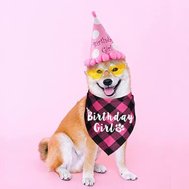 JOTFA Plaid Dog Bandana for Birthday Party Supplies (Pink) - Image 4