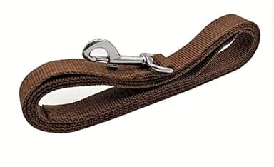 TAIAN 4FT/5FT/6FT Strong Dog Leash, Nylon Dog Leashes for Small Medium Large Dogs (Brown, 1 in x 10 ft) - Image 3