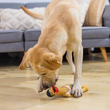 Outward Hound by Charming Pet Squawkers Earl Latex Squeaky Rubber Chicken Dog Toy, Funny Interactive Holiday Toy for Dogs, Large Size - Image 5