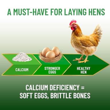 Small Pet Select - 100% Flaked Oyster Shell, Calcium Supplement for Chickens, and Ducks, 5lb - Image 5