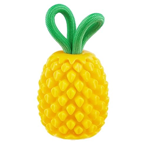 Outward Hound by Planet Dog Dental Pineapple Dental Chew Toy and Interactive Treat Stuffer Durable Dog Toy Stuffable Dog Toy, Yellow - Image 1
