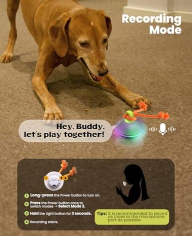 Xeuch Interactive Dog Toys, Automatic Moving and Rolling Dogs Ball with Rope, Motion-Activated Wicked Ball with Voice Recording for Small Medium Pup, Stimulation Toy for Boredom Relief Blue - Image 4