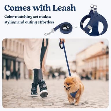 rabbitgoo Dog Harness Small Sized and Leash Set, Step in Soft Light Puppy Vest, Breathable Mesh Pet Harness, Reflective for Safe Outdoor Walking, Navy Blue S - Image 5