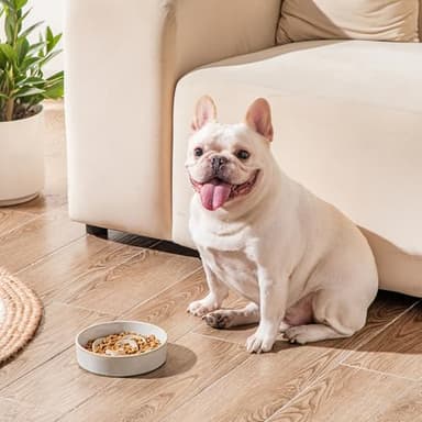 vancasso Slow Feeder Dog Bowl, 0.6 Cups Ceramic Dog Food Dish for Fast Eaters Small Breed, Puzzle Bowl for Small Dogs and Cats, Light Gray - Image 8