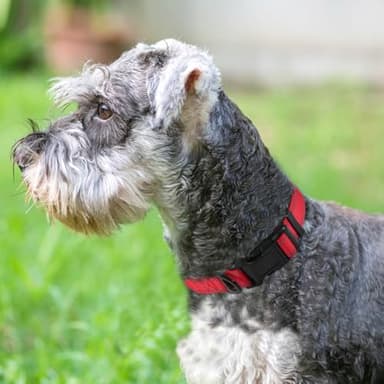 Joytale Reflective Dog Collar, Soft Neoprene Padded, Metal D-Ring, Nylon Pet Collar Adjustable for Small Dogs, Red, S - Image 2