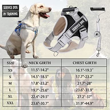 Dogmify Service Dog Vest,No Pull in Training Service Dog Harness and 5FT Dog Leash Set, Adjustable 3M Reflective Nylon Pet Dog Vest with Handle,Easy Control for Small Medium Large Dogs(S,Black) - Image 6