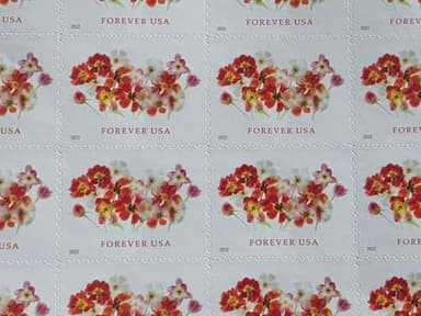 20pcs Flowers Postage Stamps for Mailing Forever Sheets (Tulip Flowers) - Image 2