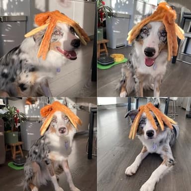 HGB Squeaky Dog Toys - Octopus No Stuffing Crinkle Plush Large Dog Toys to Keep Them Busy for Puppy Teething Chewing, Pet Supplies for Small, Medium, and Large Breeds, 2 Pack - Image 8