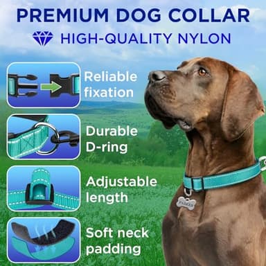 TECEUM Reflective Dog Collar – Teal – M – Extra Soft Padding – Basic Nylon Pet Collar – Quick Release Buckle – Fits Small, Medium and Large Dogs, Puppies, Cats – ESA & Service Dog Options - Image 2