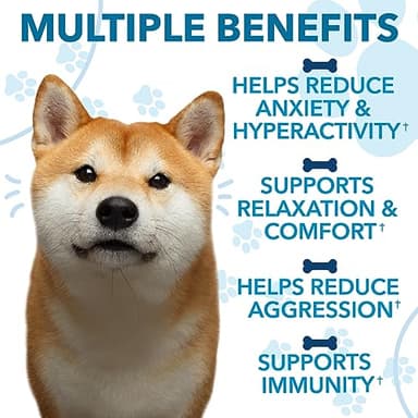 Hemp Calming Chews for Dogs with Anxiety and Stress - Anxiety Relief Chews for Storms, Fireworks, Thunder, Barking, Separation - Valerian, L-Tryptophan, Hemp Oil - Chicken - 120 Dog Calming Treats - Image 6